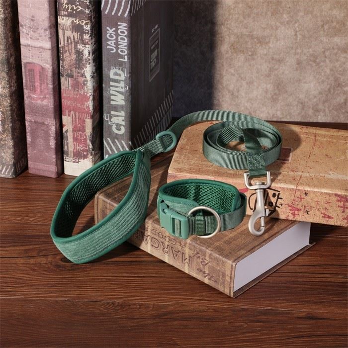 collar+leash (4)
